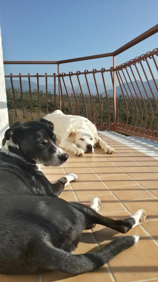 L'Arcadia Bed and Breakfast Giffoni Sei Casali Εξωτερικό φωτογραφία