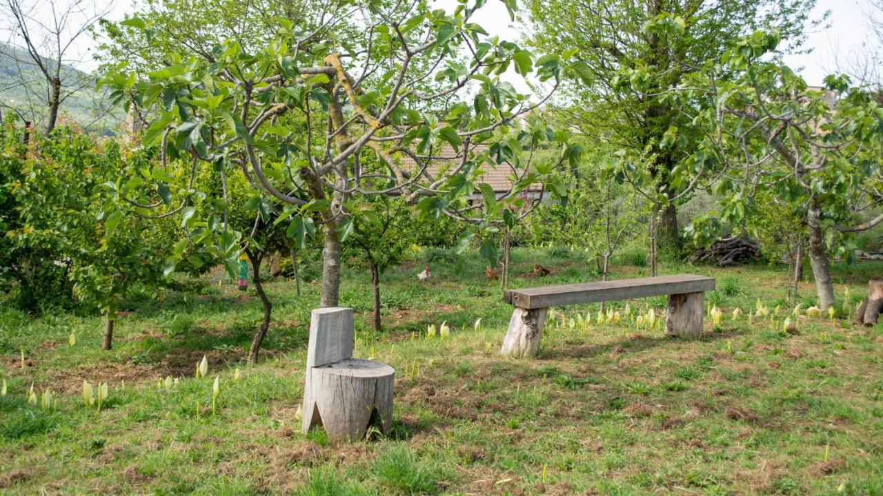 L'Arcadia Bed and Breakfast Giffoni Sei Casali Εξωτερικό φωτογραφία